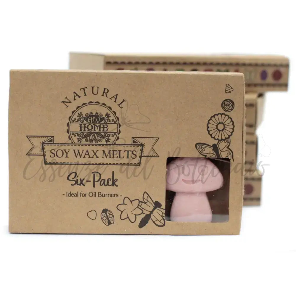 Scatola da 6 Cere da Sciogliere - Mercante di Caffè - Natural Soy Wax Melts