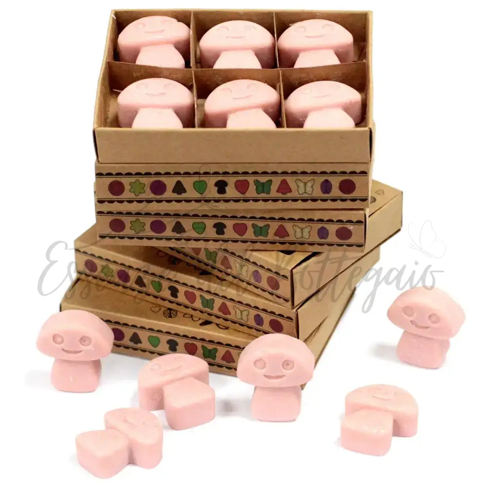 Scatola da 6 Cere da Sciogliere - Mercante di Caffè - Natural Soy Wax Melts