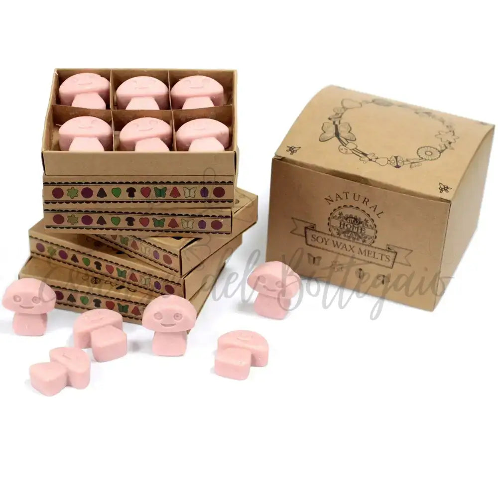 Scatola da 6 Cere da Sciogliere - Mercante di Caffè - Natural Soy Wax Melts