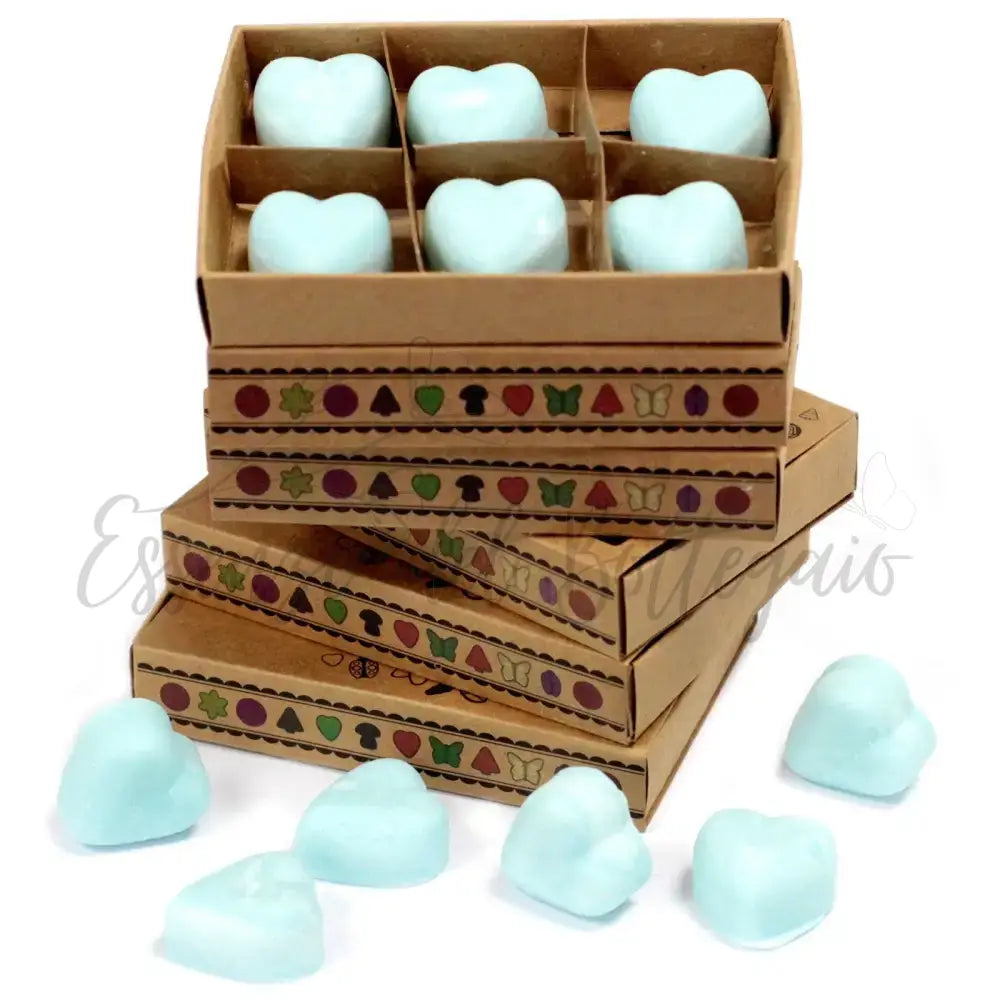 Scatola da 6 Cere da Sciogliere - Nagchampa - Natural Soy Wax Melts