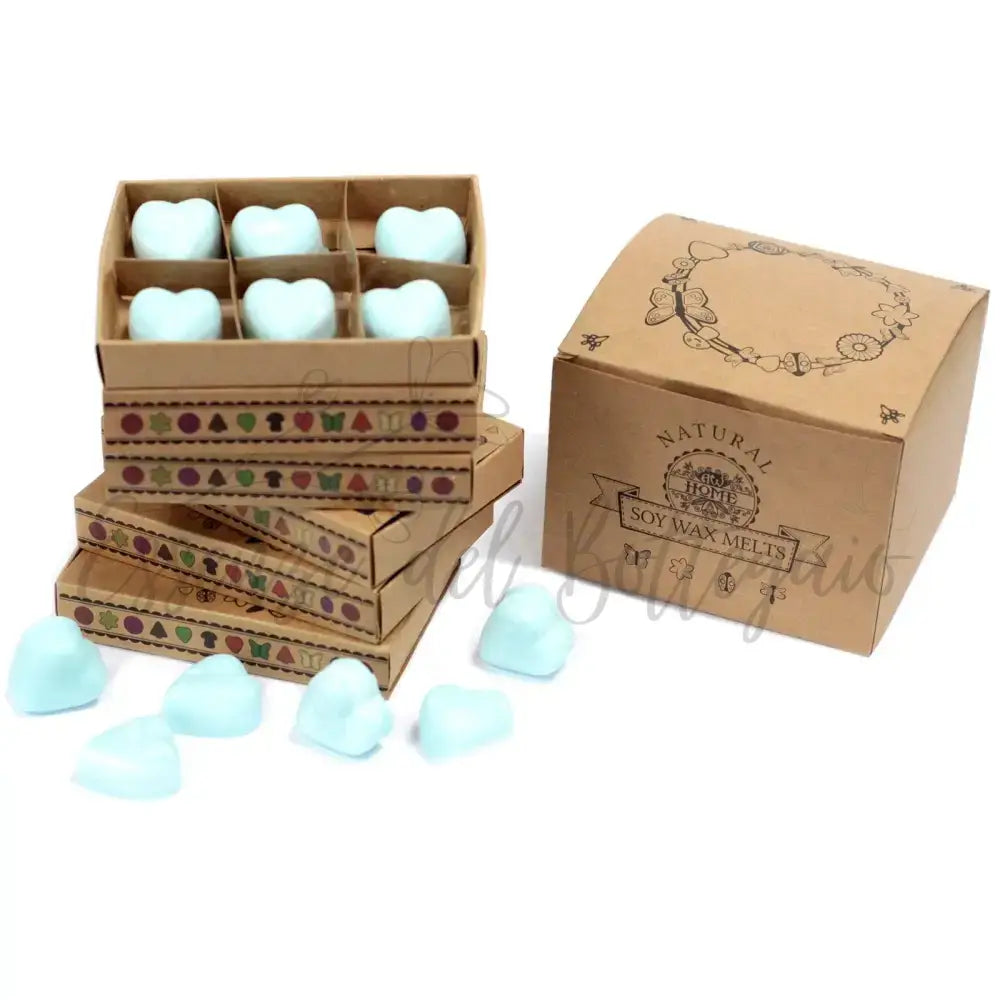 Scatola da 6 Cere da Sciogliere - Nagchampa - Natural Soy Wax Melts