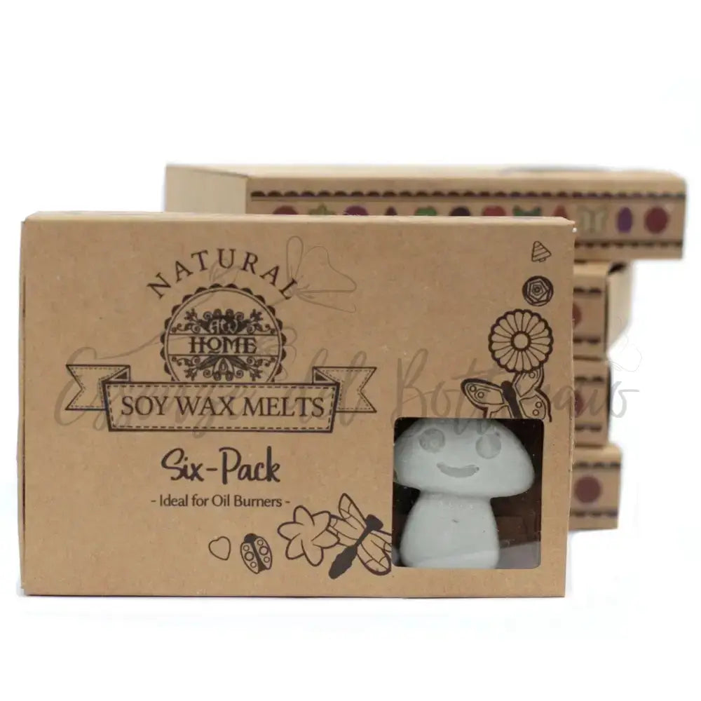 Scatola da 6 Cere da Sciogliere - Patchouli Scuro - Natural Soy Wax Melts