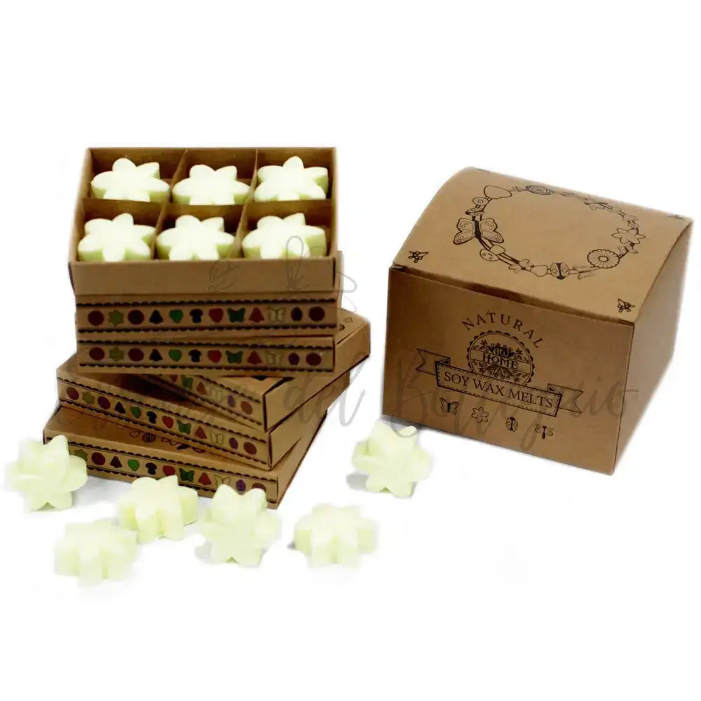 Scatola da 6 Cere da Sciogliere - Raccolta di Limoni - Natural Soy Wax Melts