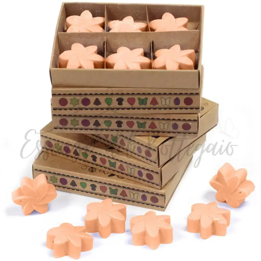 Scatola da 6 Cere da Sciogliere - Tuberosa - Natural Soy Wax Melts