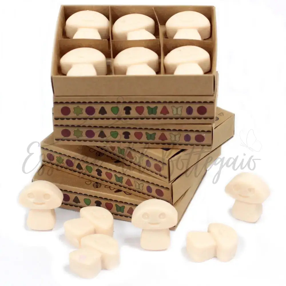 Scatola da 6 Cere da Sciogliere - Vaniglia e Noce Moscata - Natural Soy Wax Melts