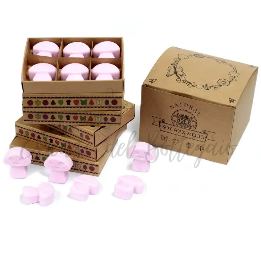 Scatola da 6 Cere da Sciogliere - Ylang Ylang - Natural Soy Wax Melts