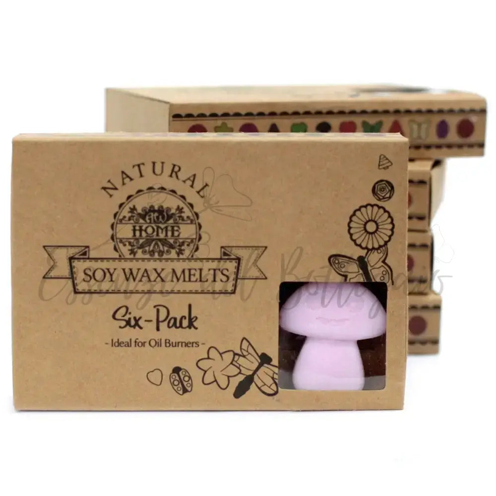 Scatola da 6 Cere da Sciogliere - Ylang Ylang - Natural Soy Wax Melts