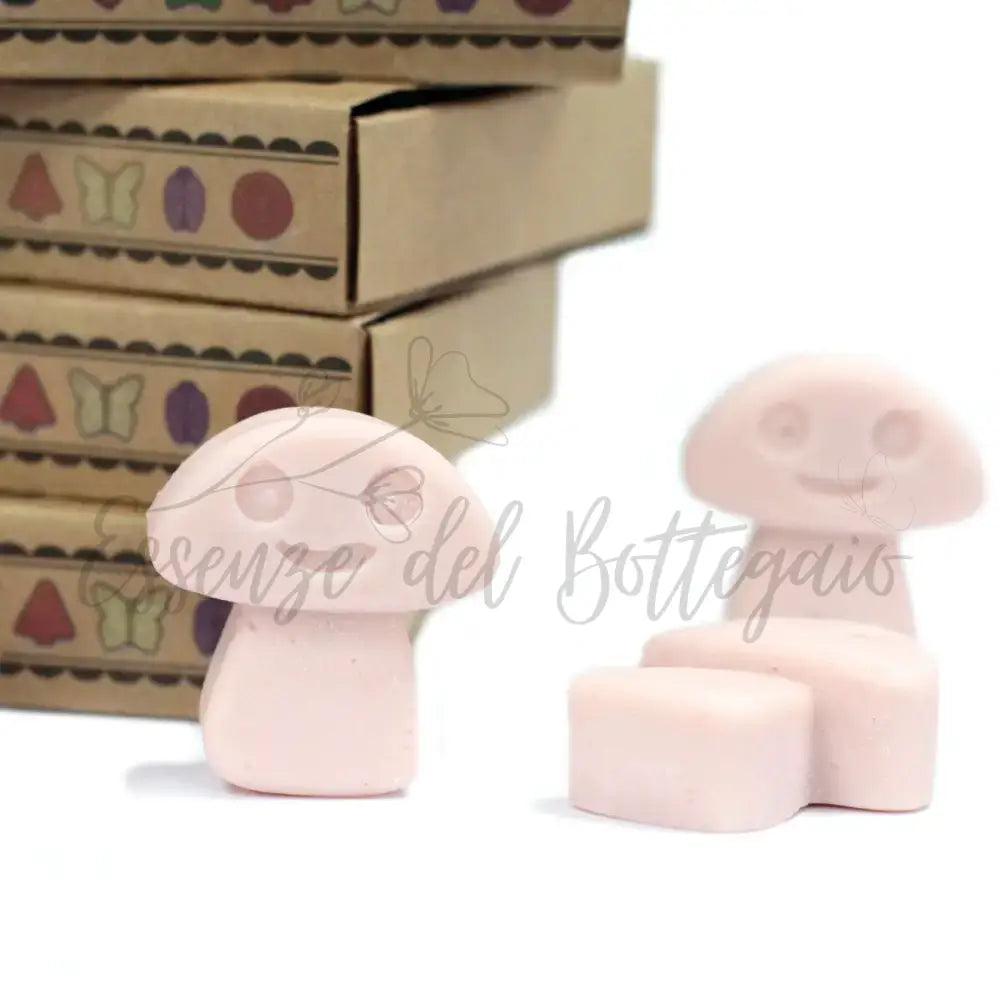Scatola da 6 Cere da Sciogliere - Zenzero - Natural Soy Wax Melts