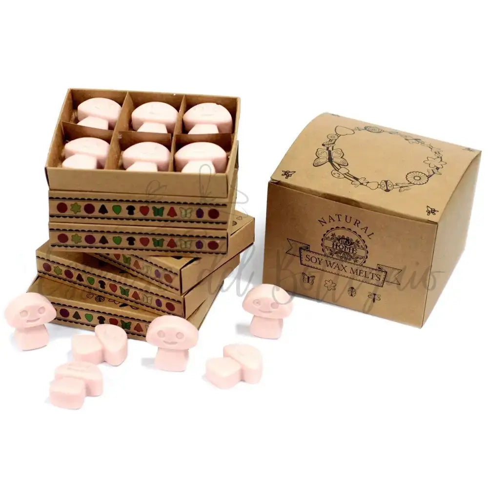 Scatola da 6 Cere da Sciogliere - Zenzero - Natural Soy Wax Melts