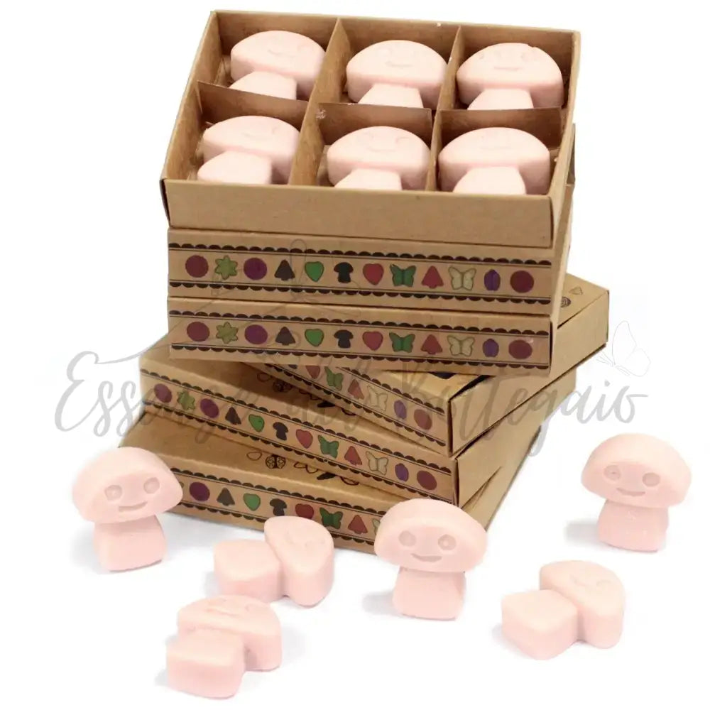 Scatola da 6 Cere da Sciogliere - Zenzero - Natural Soy Wax Melts