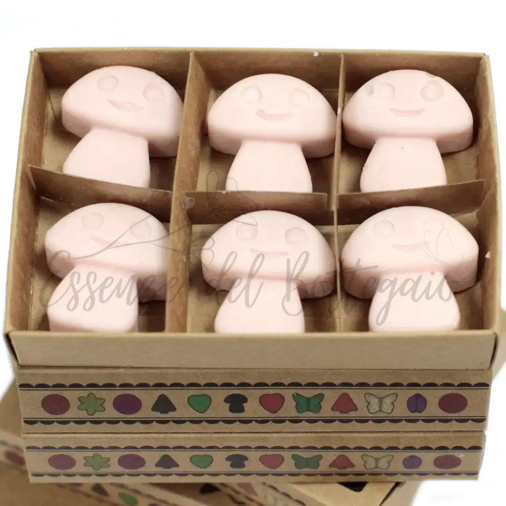 Scatola da 6 Cere da Sciogliere - Zenzero - Natural Soy Wax Melts