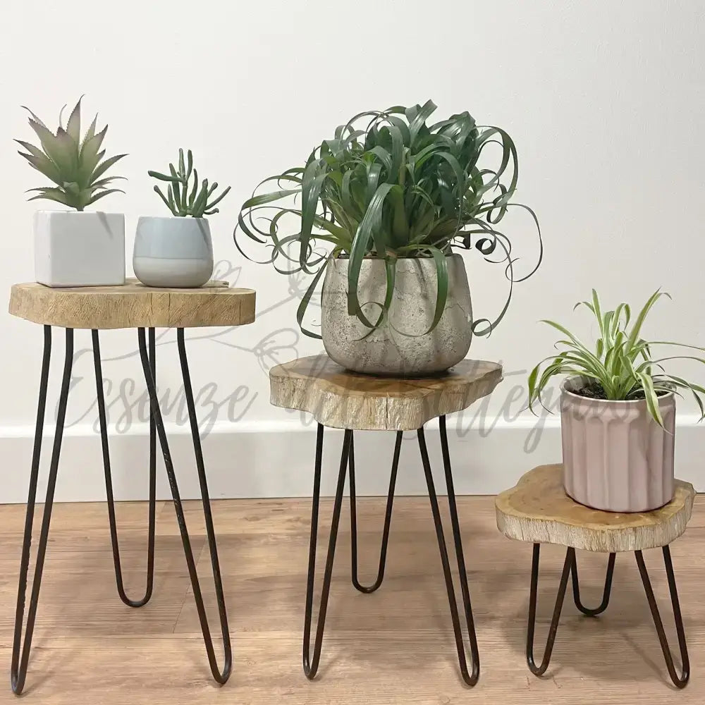 Set di 3 Sgabelli per Piante - Sbiancato - Wooden Plant Stands