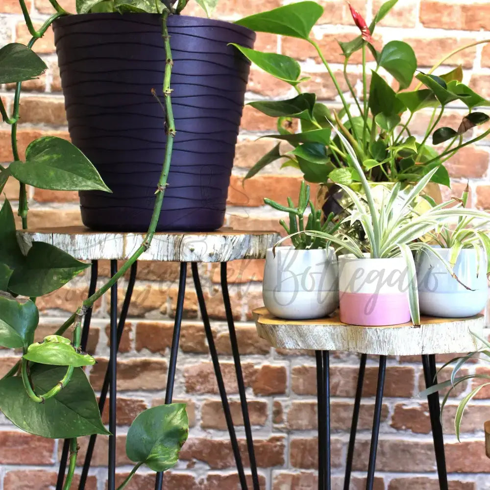 Set di 3 Sgabelli per Piante - Sbiancato - Wooden Plant Stands