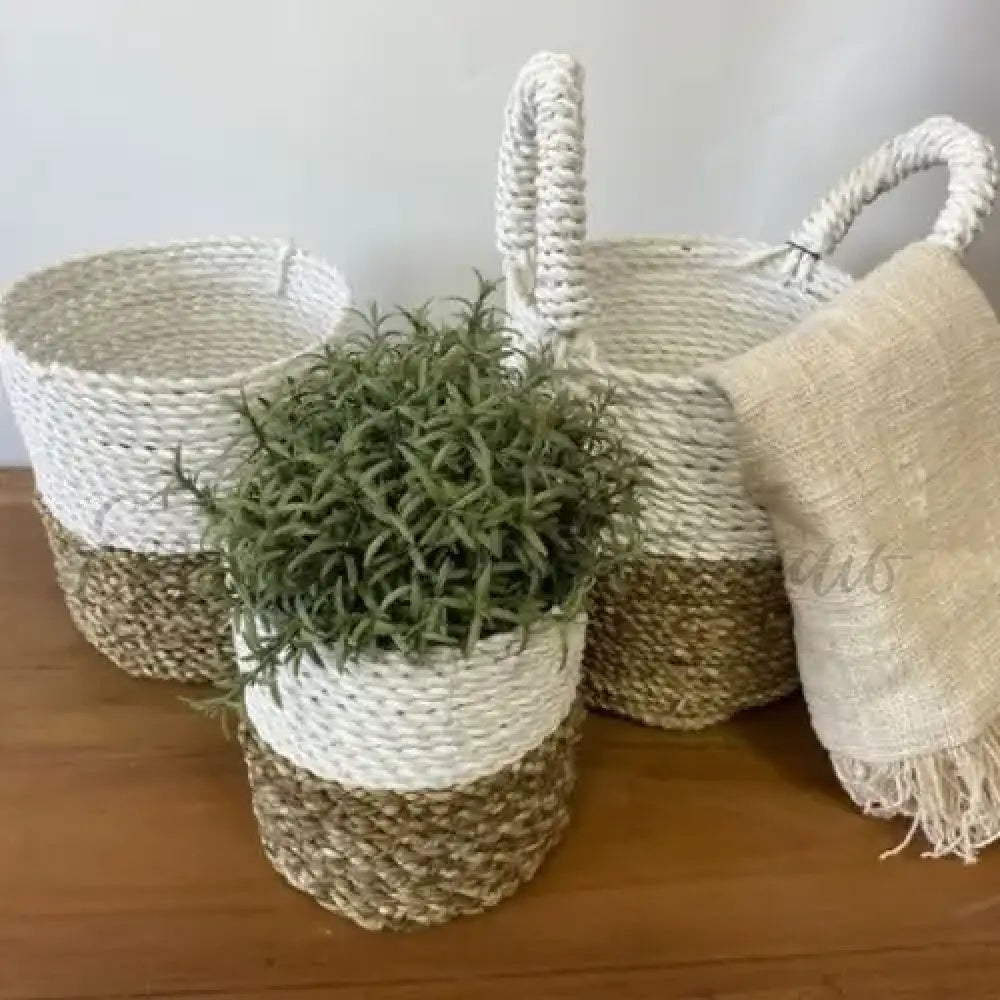 Set Cestini di Alghe - Grigio Naturale Bianco - Seagrass Basket Set