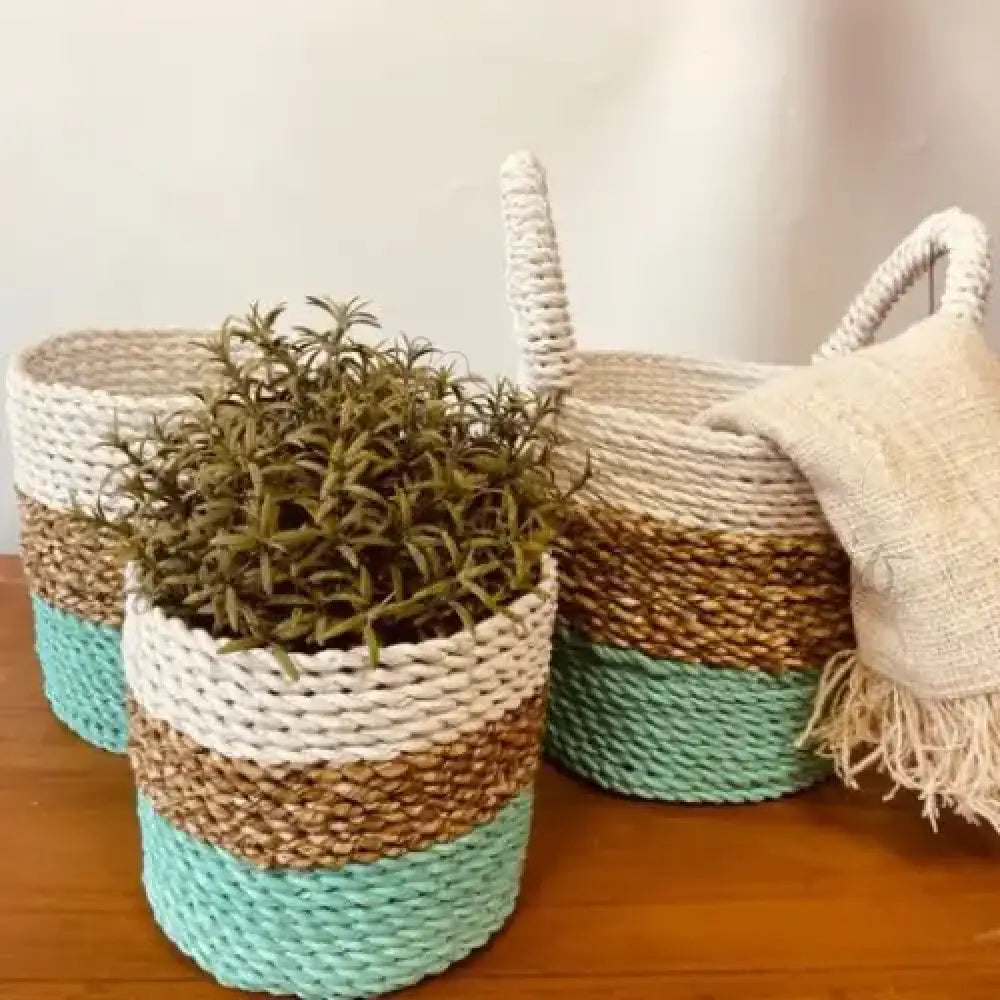 Set Cestini di Alghe - Verde Naturale Bianco - Seagrass Basket Set
