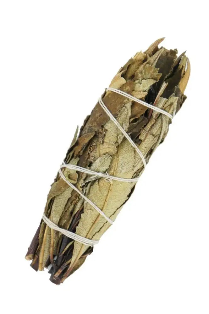 Smudge Stick - Salvia Yerba Santa 10cm - Smudge Sticks