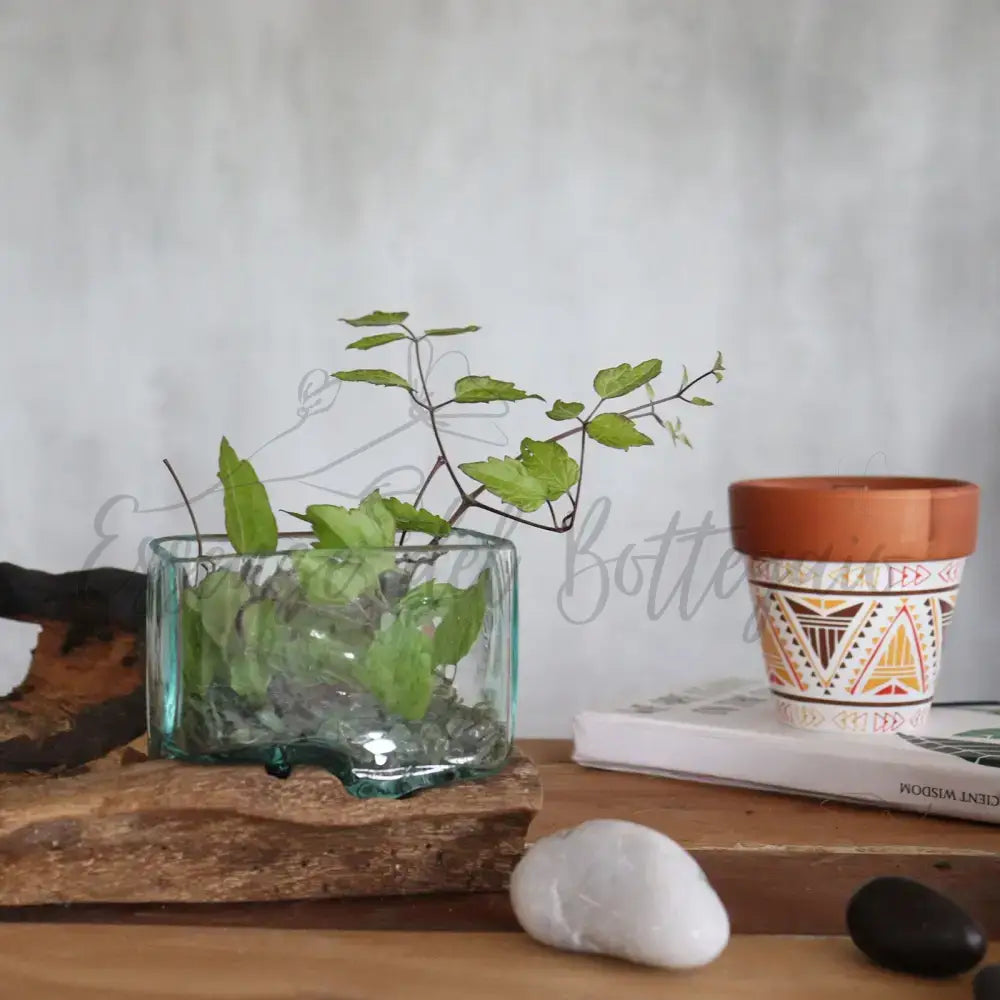 Vasca in vetro soffiato su legno con supporto - Ciotola - Molten Glass on Wood