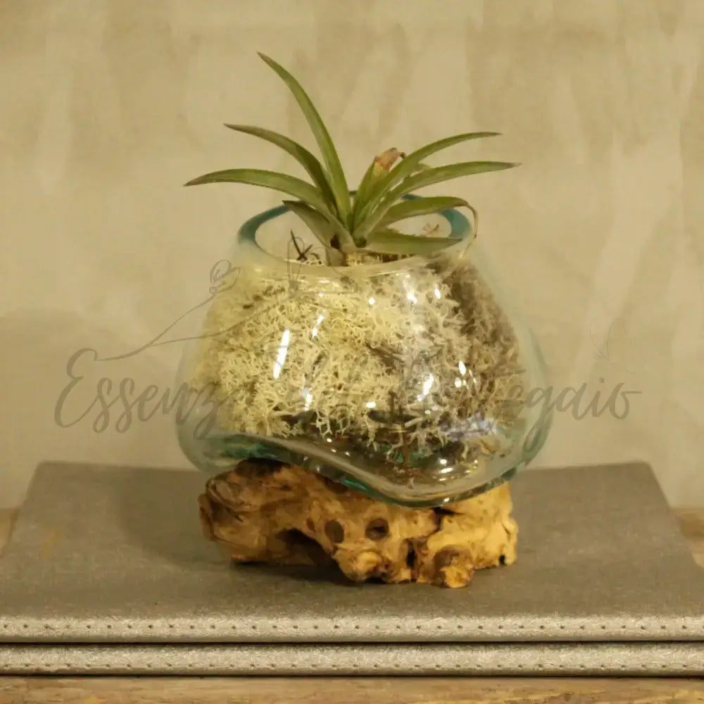 Vetro soffiato su legno - Ciotola piccola - Molten Glass on Wood