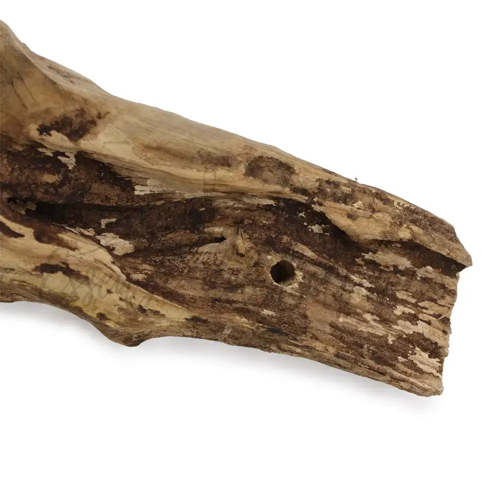 Vetro soffiato su legno - Ciotola sospesa - Molten Glass on Wood