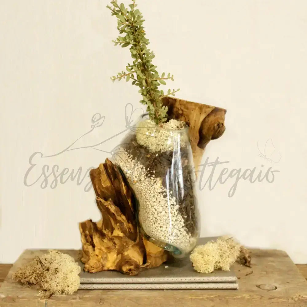 Vetro soffiato su legno - Ciotola sospesa - Molten Glass on Wood