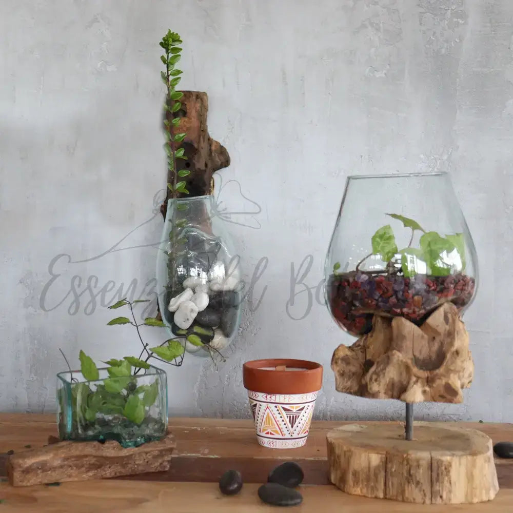 Vetro soffiato su legno - Ciotola sospesa - Molten Glass on Wood