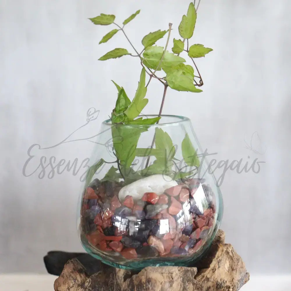 Vetro soffiato su legno con supporto - Ciotola grande - Molten Glass on Wood